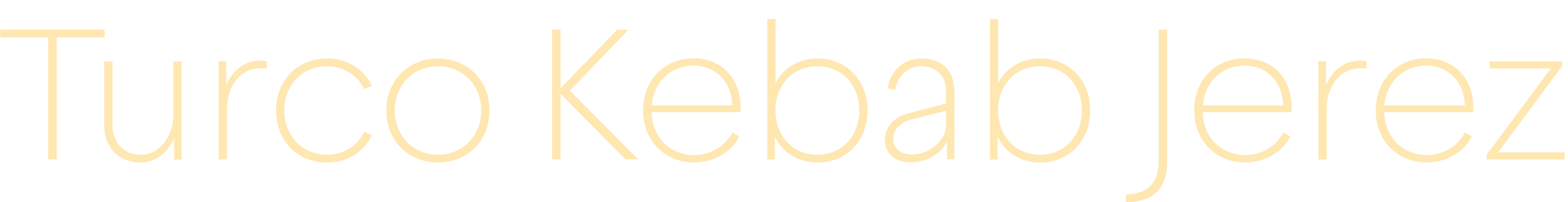 Turco Kebab Jerez